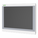 V315E