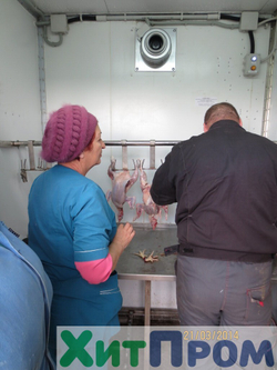 Линия убоя бройлера и несушки до 120 голов/час с вакуумным потрошением. Краснодарский край