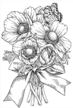 Inspirational Four Seasons Animals POST CARD. Coloring Book