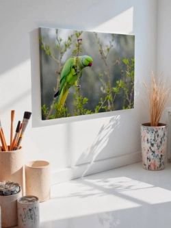 Картина на стену 40 X 50 Попугай