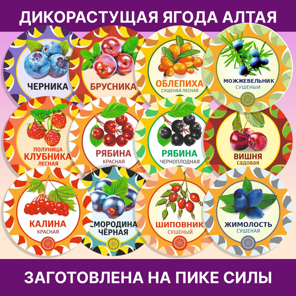 Жимолость Алтайская сладкая с горчинкой, 250 г. ягода сушеная