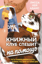 Bromance. Книжный клуб спешит на помощь. Лисса Кей Адамс