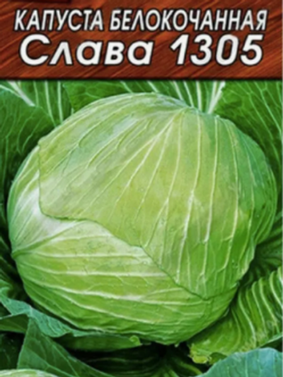 Капуста Слава