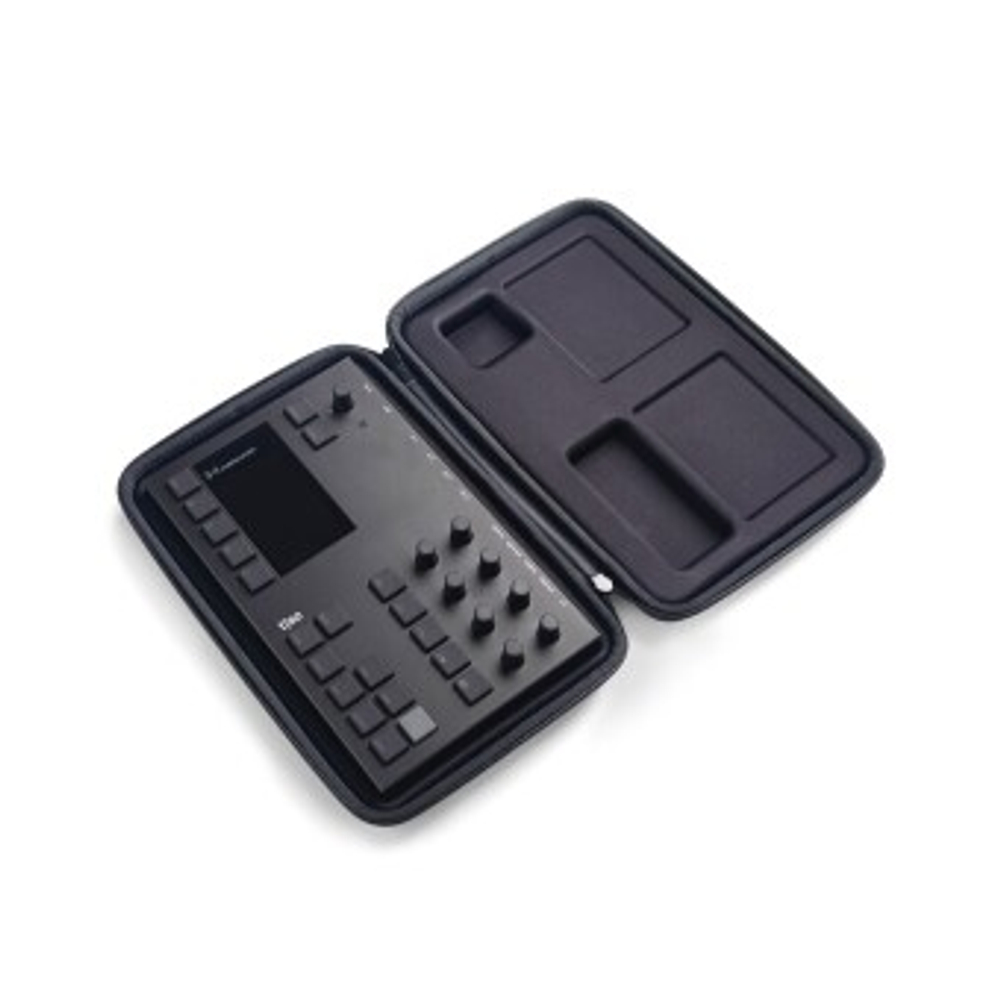 Torso Electronics S-4 carry case