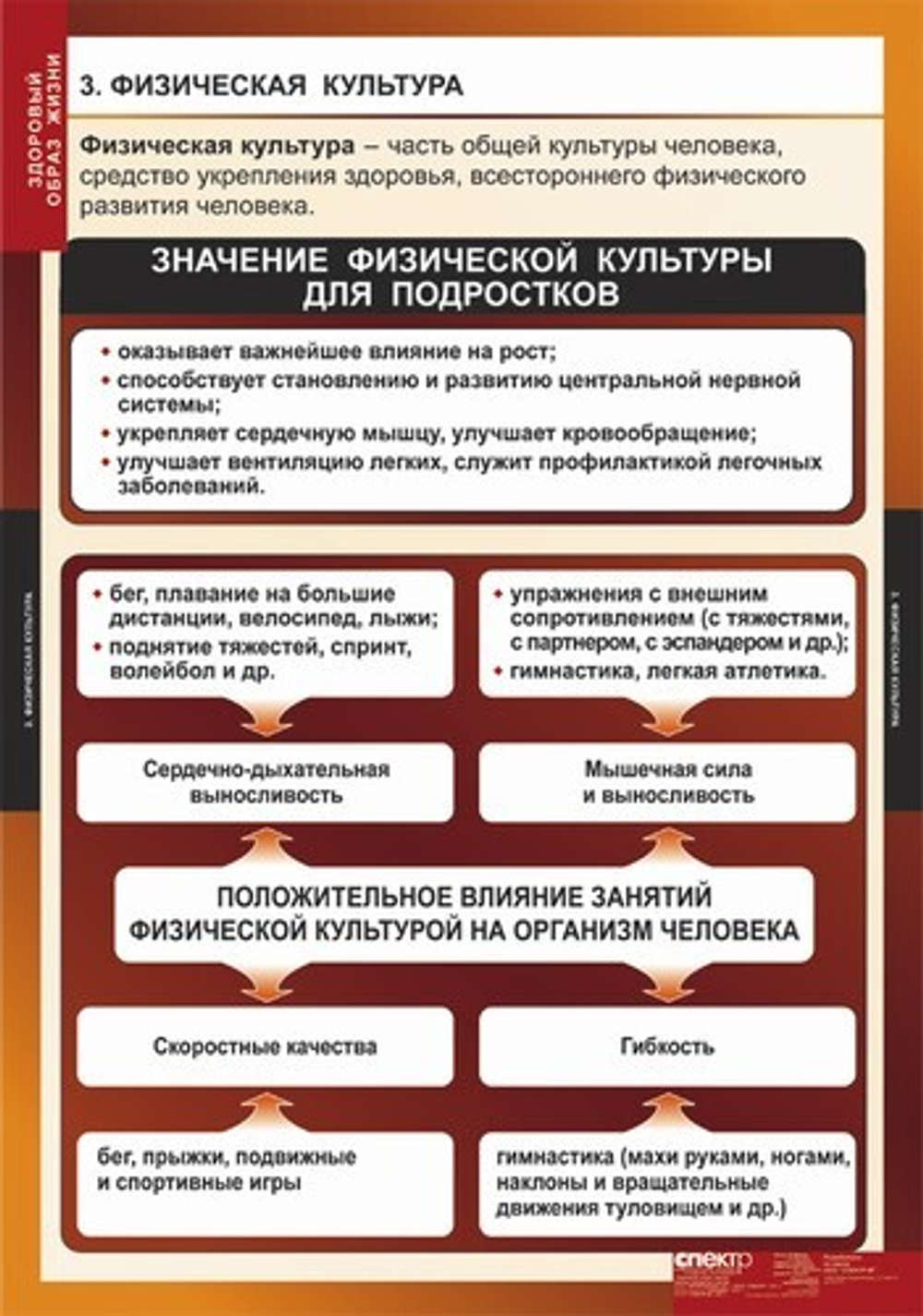 Здоровый образ жизни (8 таблиц, 68х98 см)