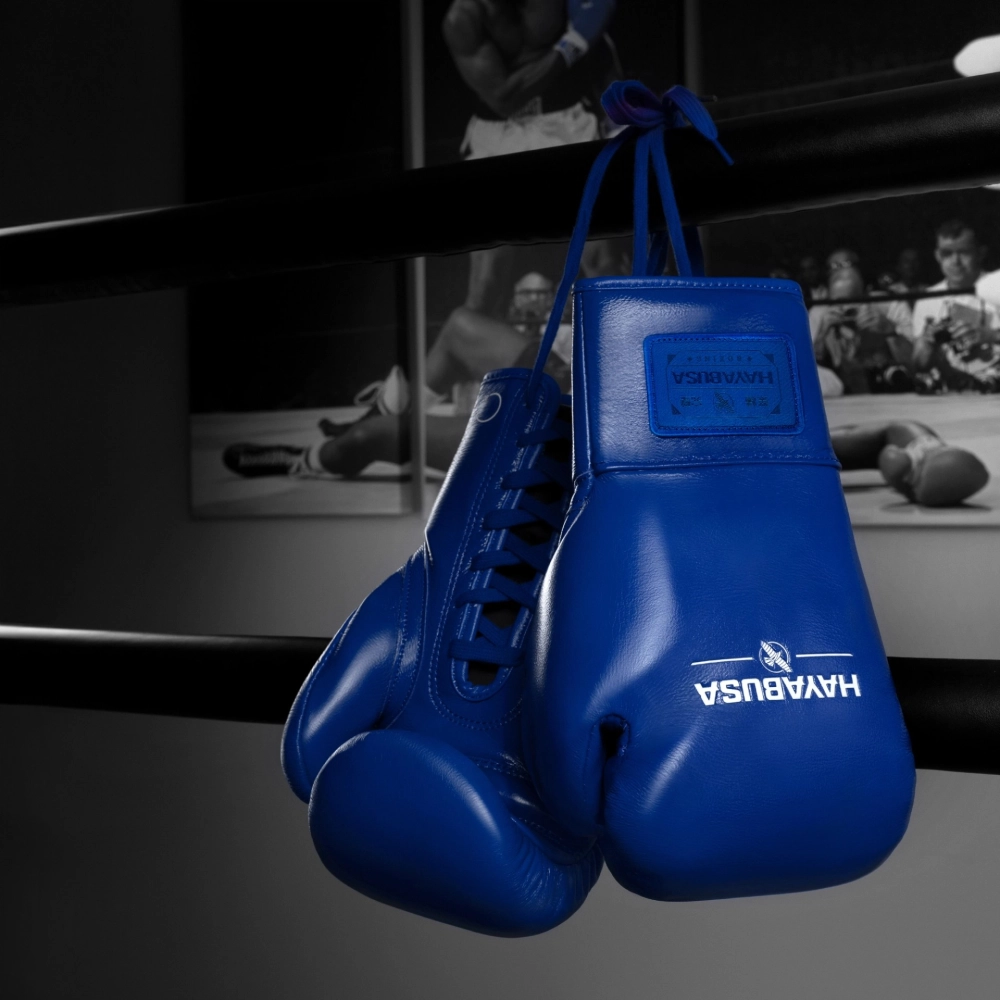 Боксёрские перчатки Hayabusa PRO HORSEHAIR - Blue