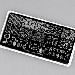 Пластина Swanky Stamping 69