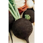 Семена Редька Ночка (УД) Е/П