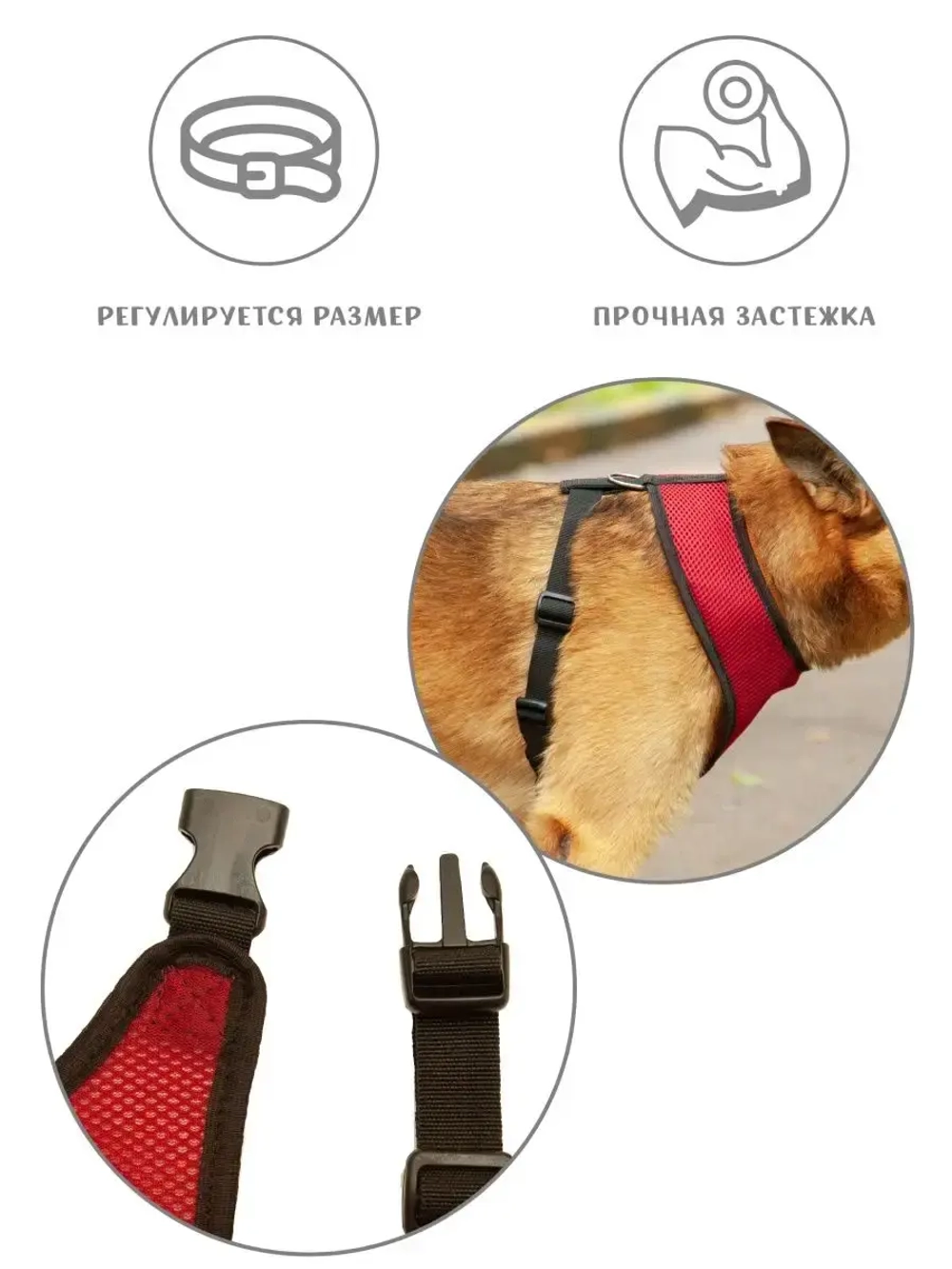 Шлейка жилет для собак и кошек прогулочная
