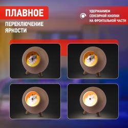 Ночник - светильник светодиодный ЭРА NLED-468-1W-P хомяк розовый