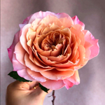 Мияби Браун— букет японских элегантных роз