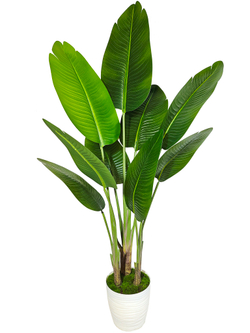 Искусственное растение Стрелиция Комнатная в кашпо