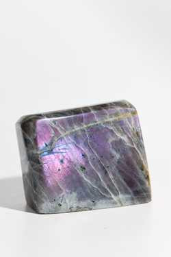 Срез Лабрадора L