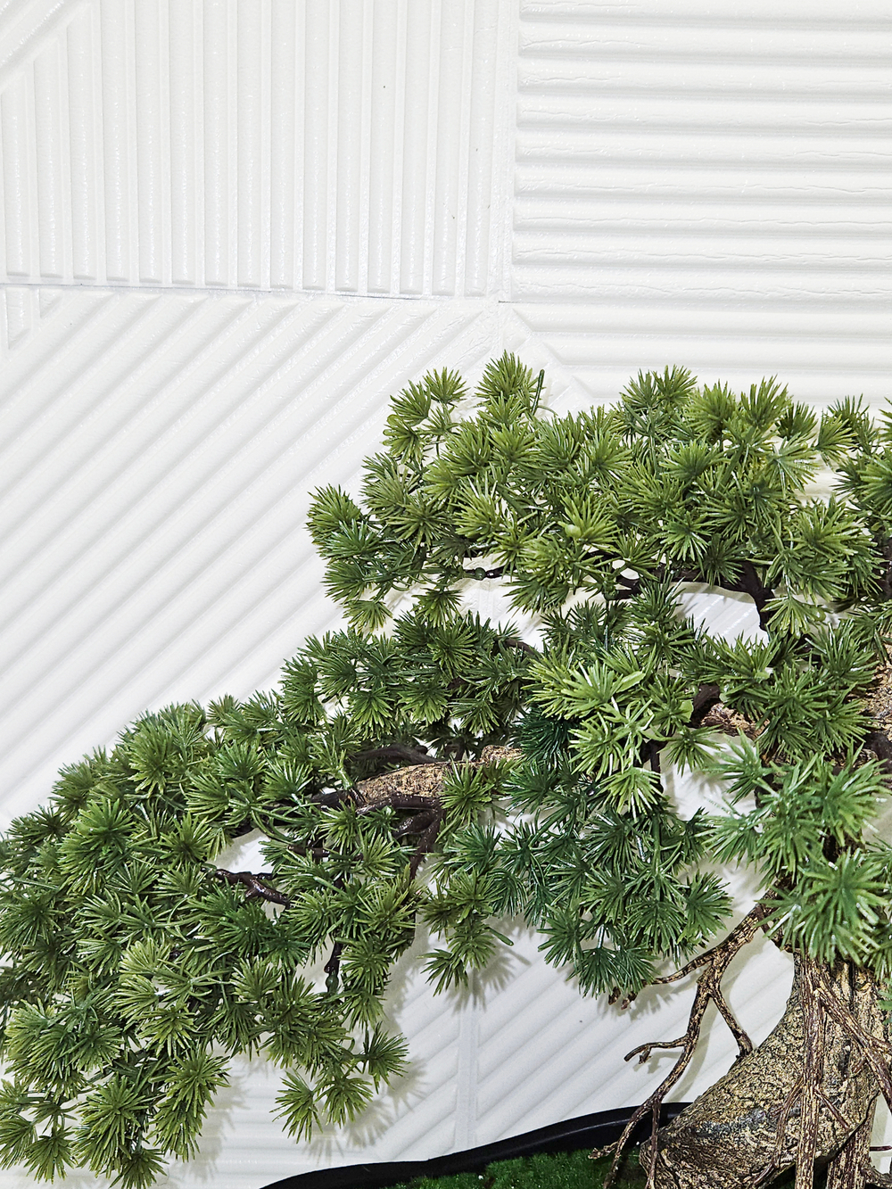 Бонсай Кедр 65см в кашпо Лофт Нео