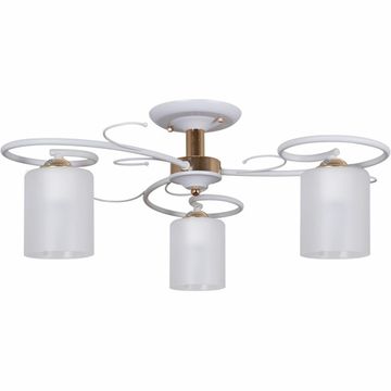 00738-0.3-03 светильник потолочный