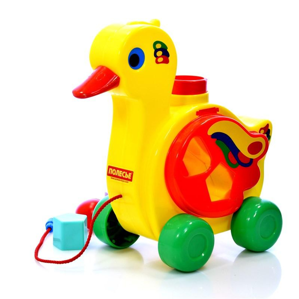 Уточка-несушка сетка (Полесье)