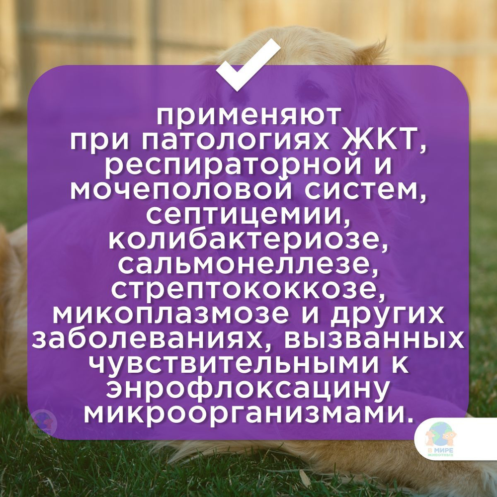 ВИК Энрофлон 2,5%, раствор для инъекций, 50 мл. Энрофлоксацин.
