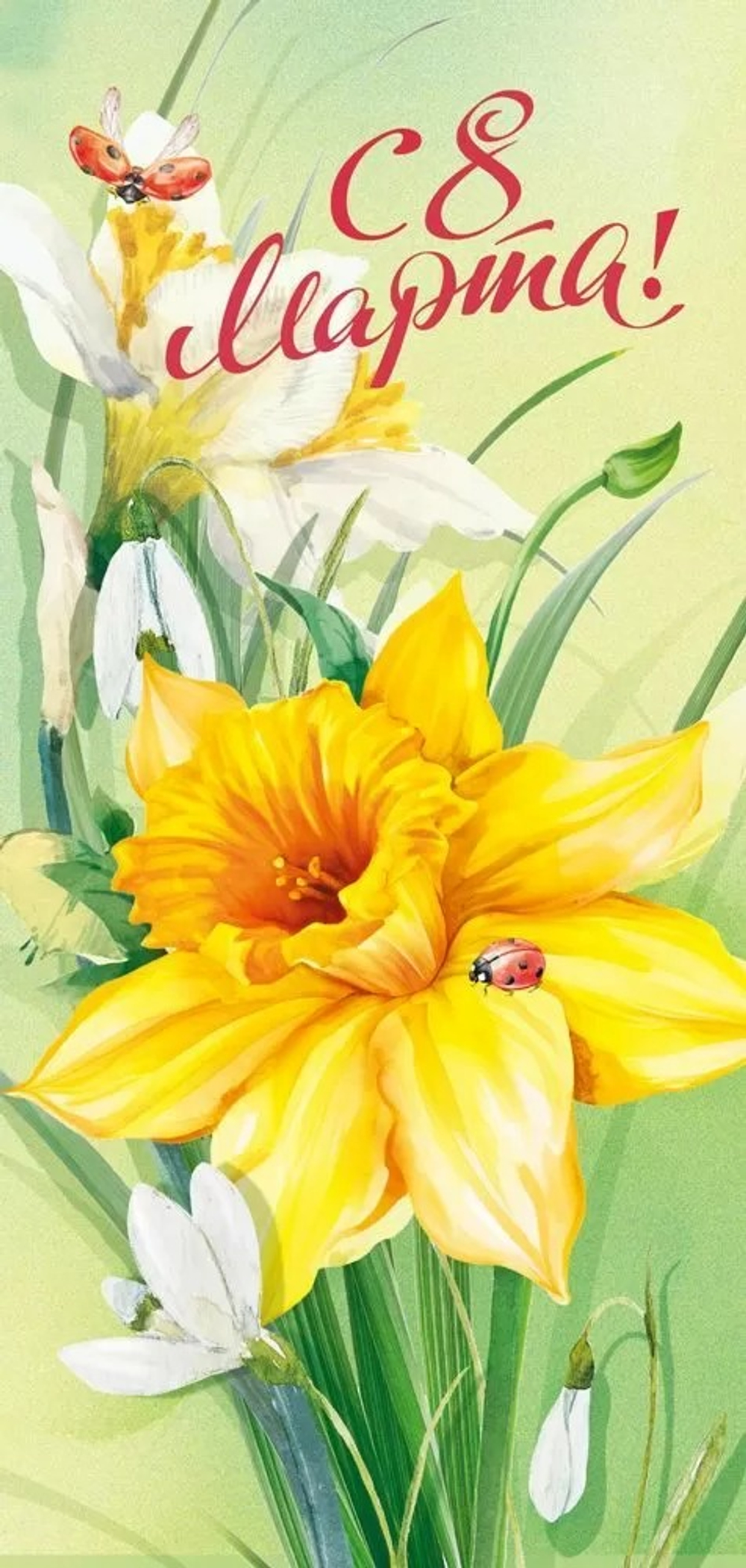 Открытка С 8 Марта! (нарциссы), 9,7*20,4 см.