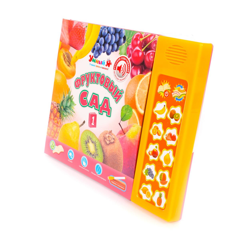 Обуч. книга "Фруктовый САД" ZYE-E0097