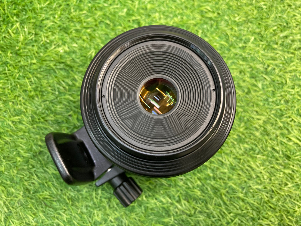 Canon MP-E 65mm 2.8 1-5x Macro Photo