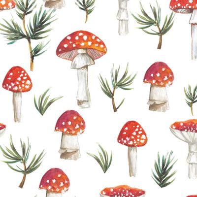 Акварельные мухоморы с хвойными ветками