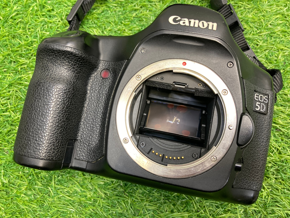 Canon EOS 5D