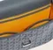 Сумка GOYARD Belvedere PM