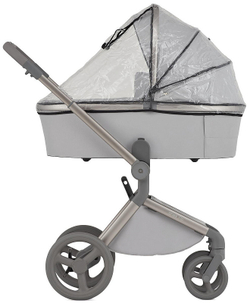 Детская коляска Anex Flo 2 в 1 Frossy