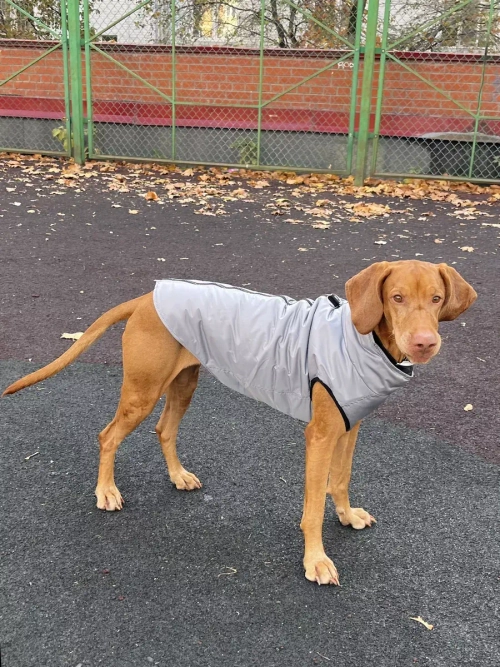 Жилет для собак мелких и средних пород зимний