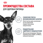 Royal Canin Mini Digestive Care Мини Дайджестив кэа Корм сухой для взрослых собак мелких пород с чувствительным пищеварением 1кг