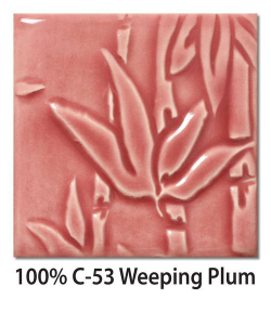 C-53 Weeping Plum