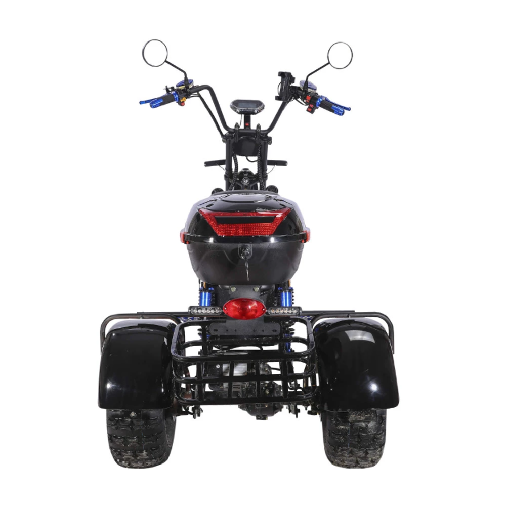 Электроскутер CityCoco SKYBOARD BR40-3000 OFF-ROAD Trike