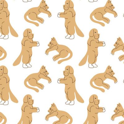 Собаки и кошки