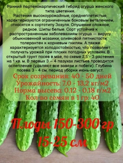 Семена Огурец Апрельский ранний самоопыляемый 10гр