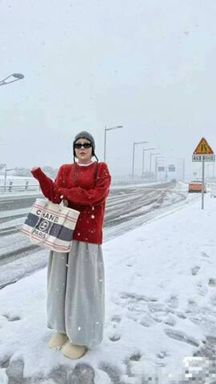 Сумка CHANEL 33 см