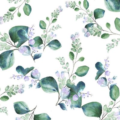 Цветущий снежноягодник на светлом фоне, акварельная иллюстрация