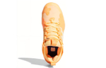 Кроссовки Adidas Harden Vol.5 Futurenatural
