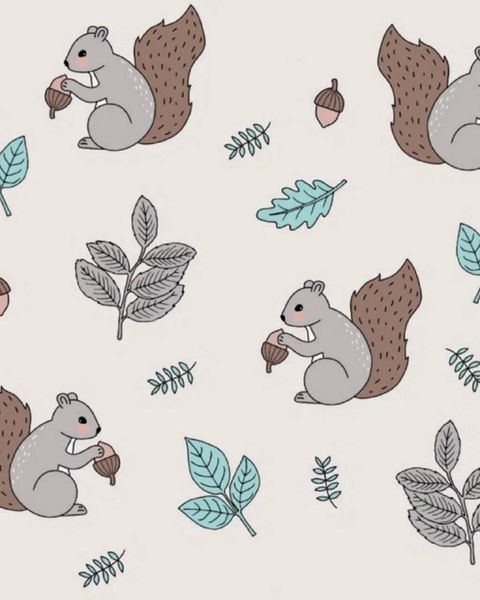 Новый зимний принт с белочками