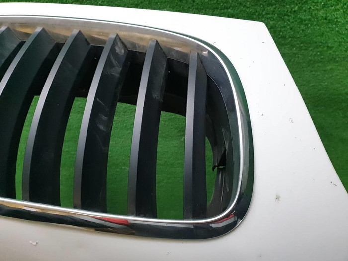 Капот BMW X6 E71 (2007-2014)