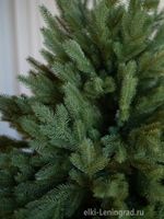 Ель искусственная «Милано» (Литая хвоя) от 1.5 до 2.4 м