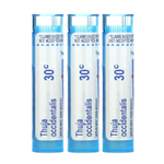 Boiron, туя западная, 30 C, 3 тюбика, по 80 гранул в каждом