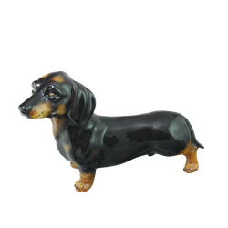 Boxer Такса темно-коричневая