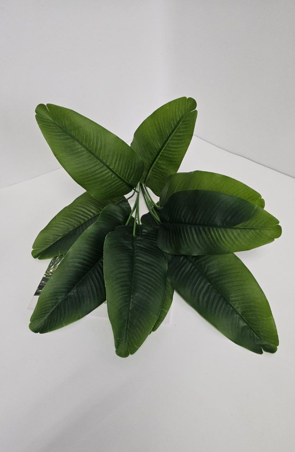 Куст банановой пальмы / Арт 6211