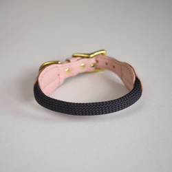 Ошейник «Пони-макарони» HuntingPony