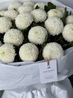 Букет моно из хризантемы 23 шт