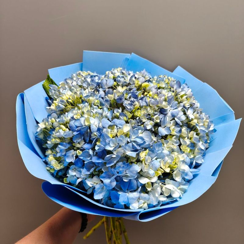 Букет из синих гортензий (7шт) Букет из синих гортензий (7шт)