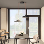 DK5569-BK Cветильник для трека-ремня Belty, серия Flow, со светодиодом, D600*H122мм, 48V DC, 24W, RA90, 120°, 3000K, IP20, черный, алюминий