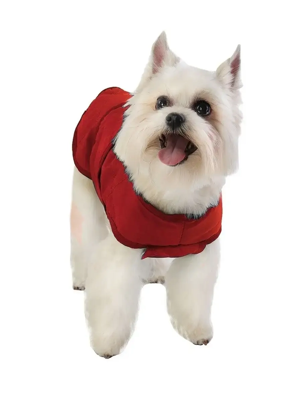 Утепленная попона для собак малых средних пород