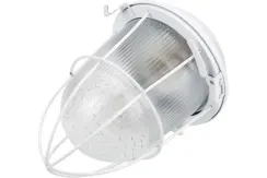 Светильник ЭРА НСП 02-100-003 решетка IP54 03504