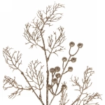 Ветка хвойная «Сияние зимы» 67 см, Шампань